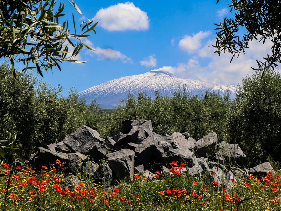 Primavera sull'Etna